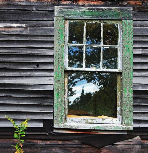 Reflections in an old barn window are framed by peeling green paint and weathered gray clapboards.
