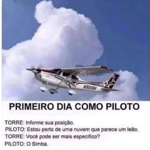 PRIMEIRO DIA COMO PILOTO TORRE: Informe sua posição PILOTO: Estou perto de uma nuvem que parece um leão. TORRE: Você pode ser mais especifico? PILOTO: O Simba 