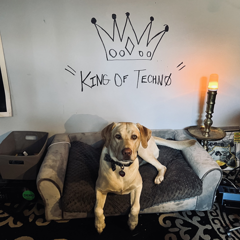 A yellow labrador dog sits on a dog bed underneath a handwritten banner saying KING OF TECHNO with a crown over it.