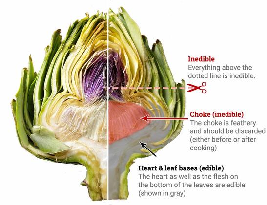 An image of a real artichoke sliced in half, showing what parts of the inside of it are edible and inedible. Most of it is actually inedible, but what is called it's heart (the lowest portion of it, extending downward and into it's stem) is edible; the flesh on the bottom of the leaves are ok to eat as well.