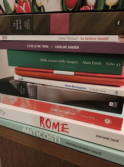 ma pile de livres à lire - my stack of books to read