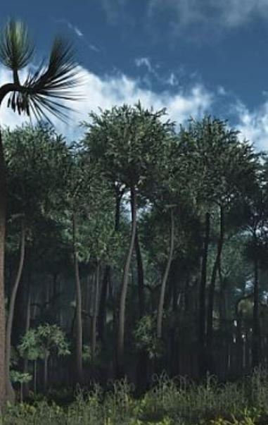 Carboniferous Forest