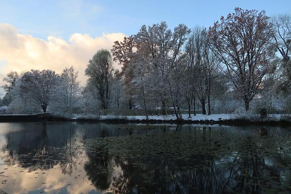 Nawiteich und schneebedeckte Bäume