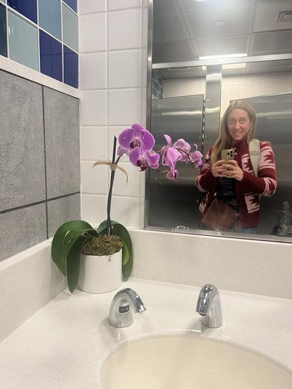 Photo on bathroom mirror showing me, the sink, and a beautiful blooming purple orchid!