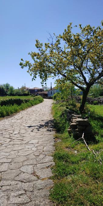 A vertical coloured photo of a paved footpath at the edge of a village in Lugo province in Galicia, Spain on a beautiful late Spring morning.
