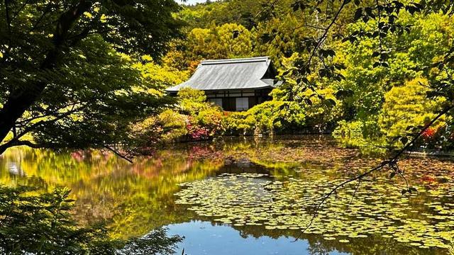 Temple by a pond.