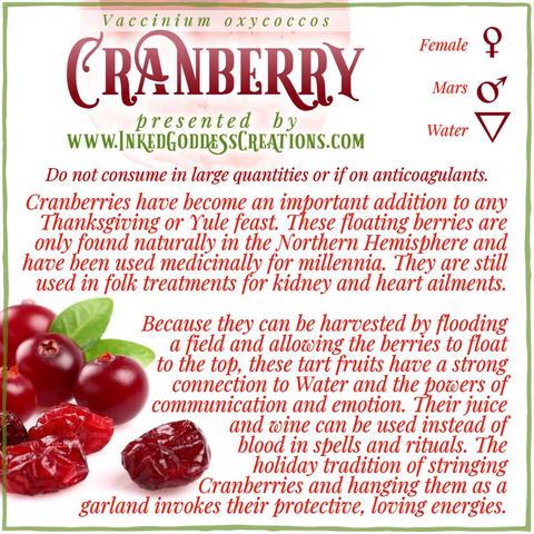 A cluster of fresh and dried cranberry berries sits against a white background. They are a deep red color and have a satin shine to their surface. The graphic includes cranberry's metaphysical correspondences, some trivia about it, and ways to use it in your magickal practice. Presented by Inked Goddess Creations.
