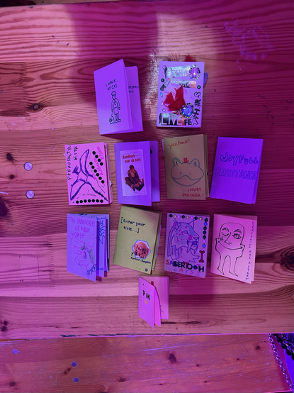 an array of zines made during the workshop. they are all quite different.