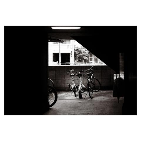 A black and white photo of a bike parking area beneath an apartment building. Three bicycles are clustered together in the dim light, leaning casually against each other. The setting is defined by the contrast of the shadowed foreground and the brighter view outside, framed by a low concrete wall and the edges of the parking structure. The atmosphere is quiet and utilitarian, capturing a brief pause in the lives of these everyday vehicles.