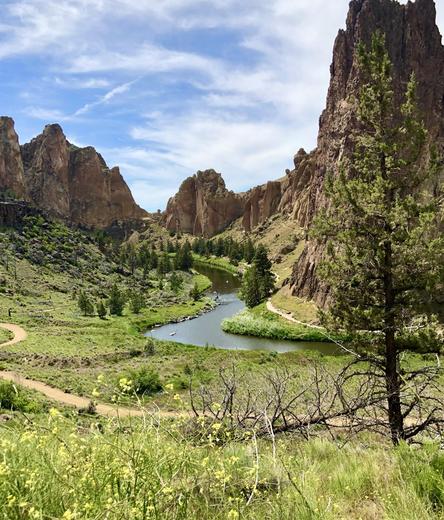 A scenic view of a green valley with a winding river surrounded by rocky cliffs and pine trees under a blue sky with scattered clouds. Wildflowers are visible in the foreground.