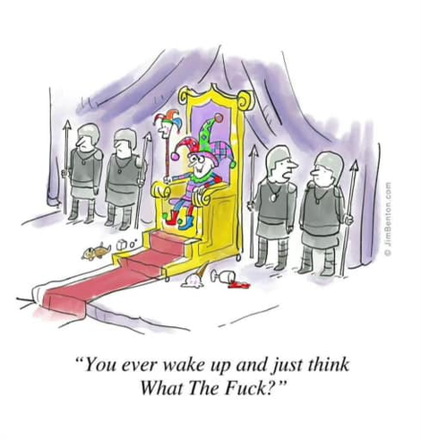 A court jester sits on a golden throne with 4 guards at his side, he is the king

One of the guards whispers to another "You ever wake up and just think What The Fuck ?"