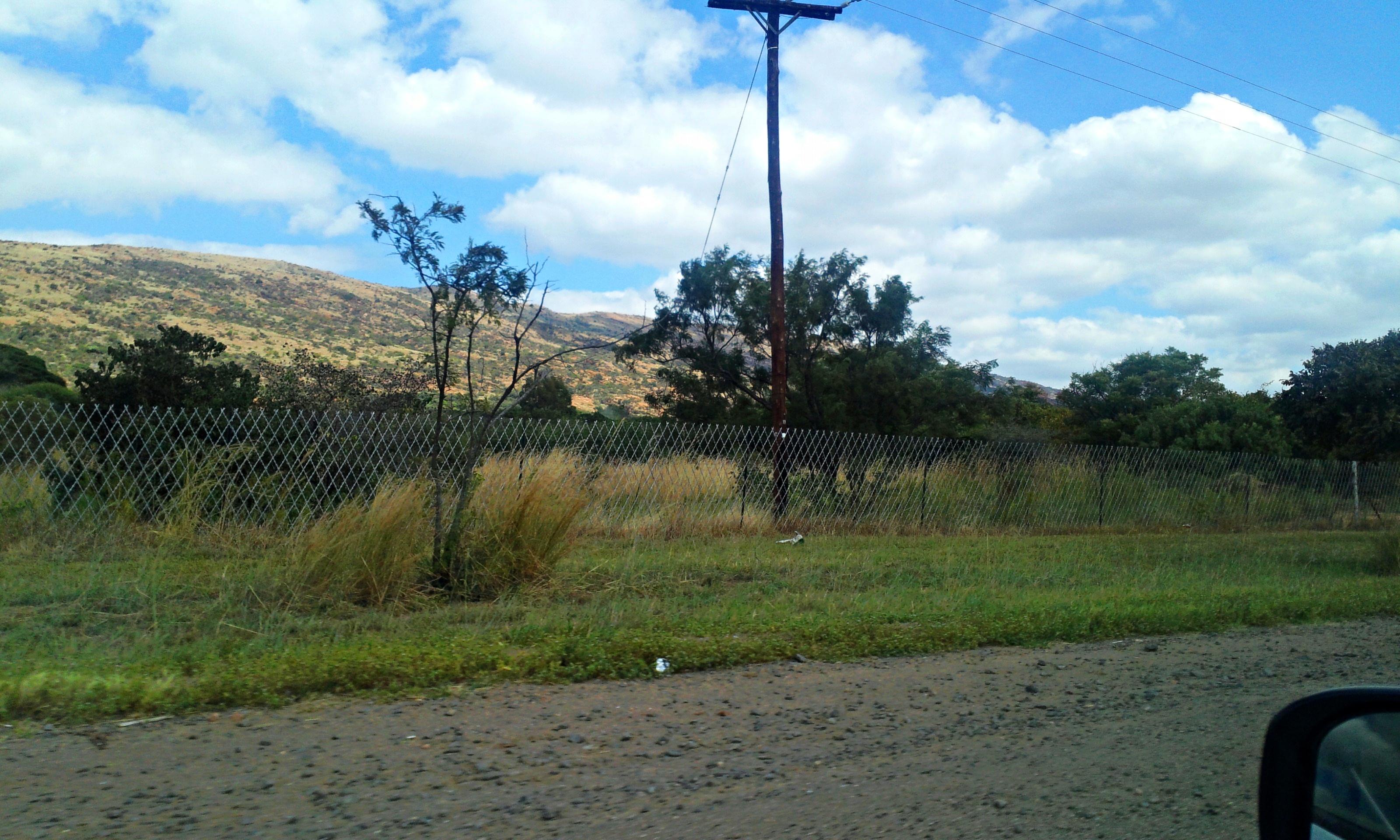 A field I saw while riding in a car in South Africa