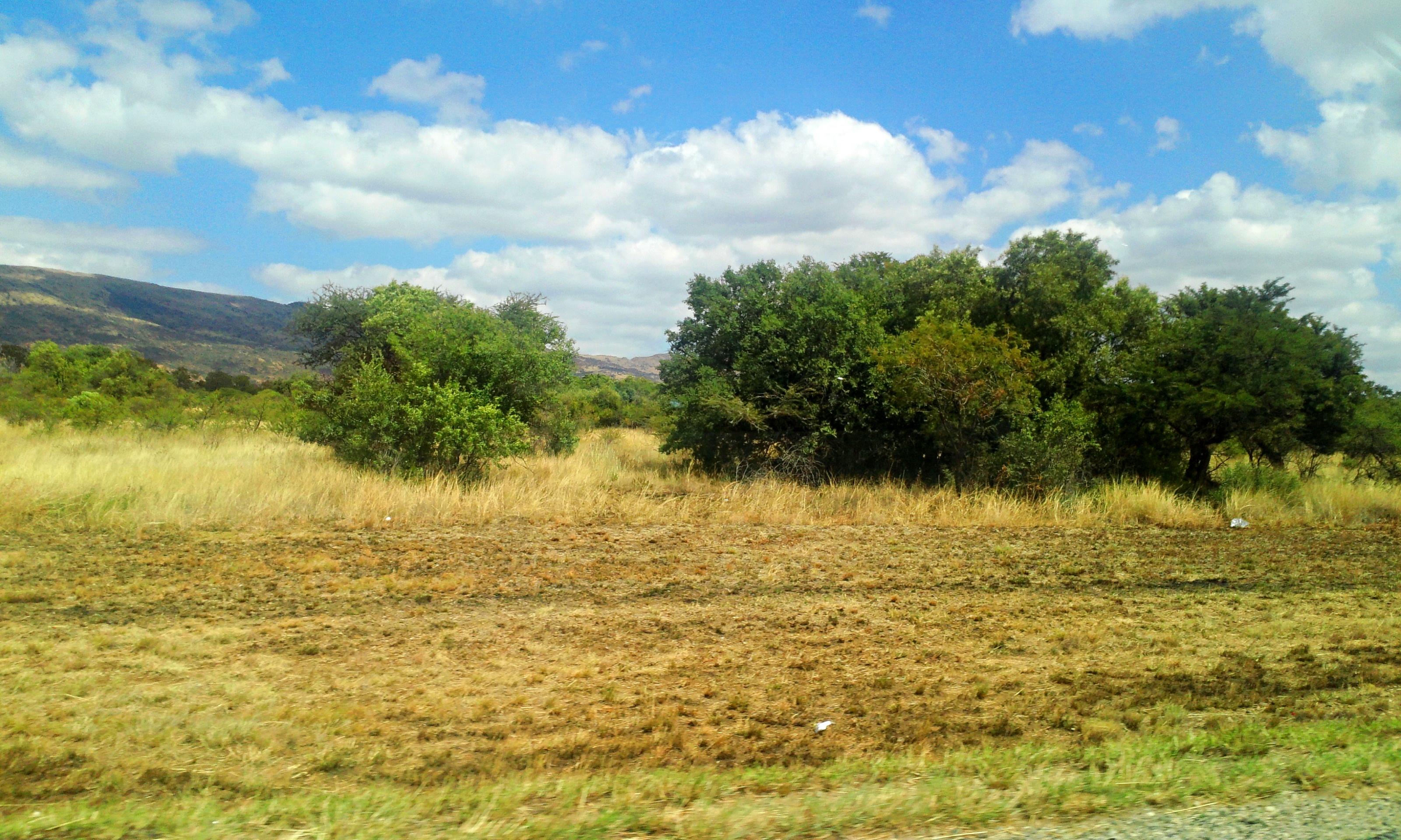 A field I saw while riding in a car in South Africa