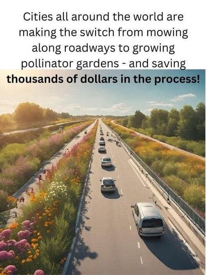 Cities all around the world are making the switch from mowing along roadways to growing pollinator gardens - and saving many hours of work & thousands of dollars in the process !
