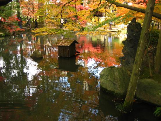 A duck house (well, in this case it is used for turtles) sits beneath an autumn canopy in the middle of Tenju-an's pond.