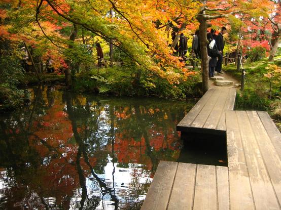 A staggered bridge crosses Tenju-an's first pond. There are no handrails so one needs to be careful not to fall in during the autumn crowds.