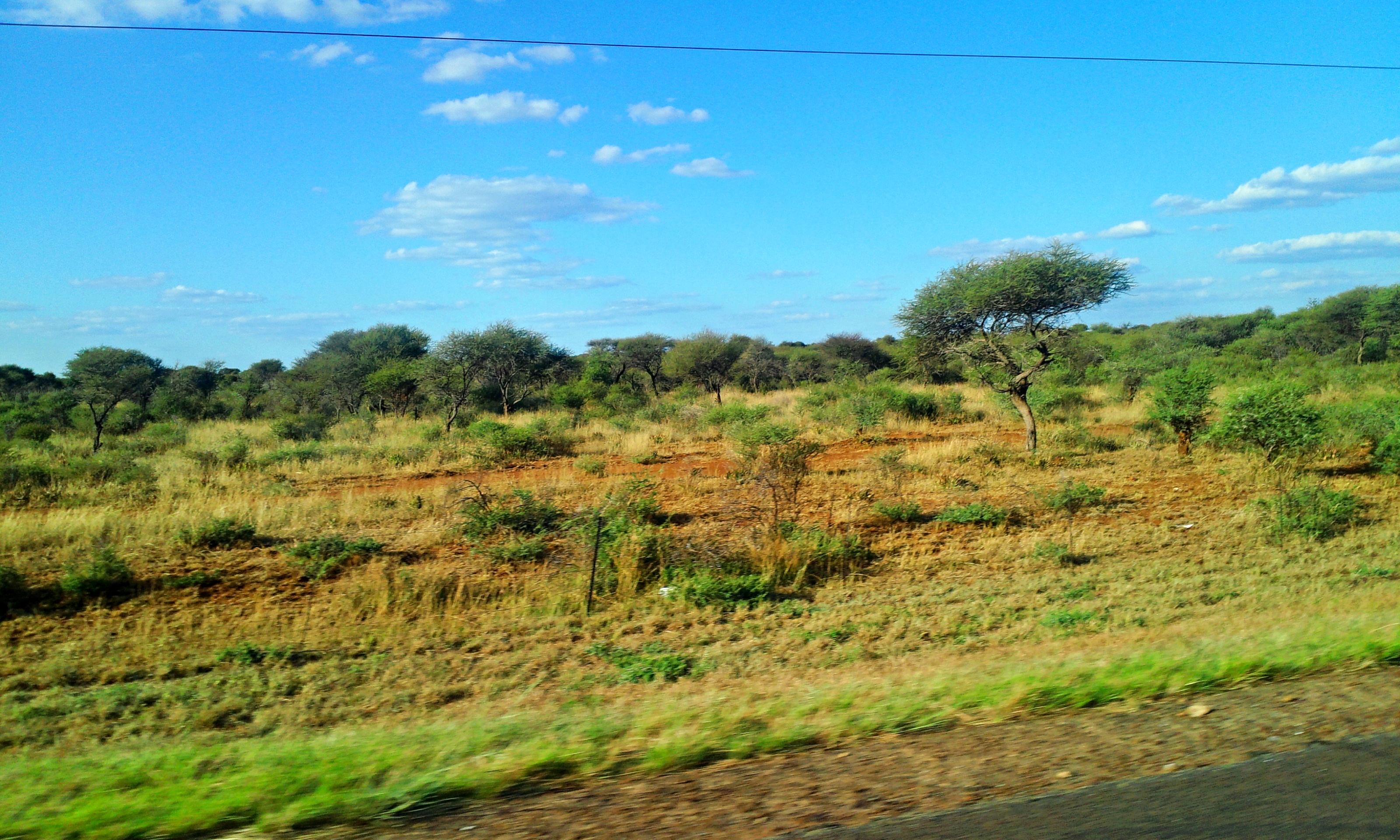 A field I saw while riding in a car in South Africa