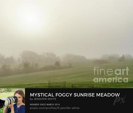 A foggy countryside minimalistic scene a a farm with rolling hills in Nixa, Missouri
https://5-jennifer-white.pixels.com/featured/mystical-foggy-sunrise-meadow-jennifer-white.html
#buyintoart #foggylandscape #landscapephotography #wallart #gifts #farmer