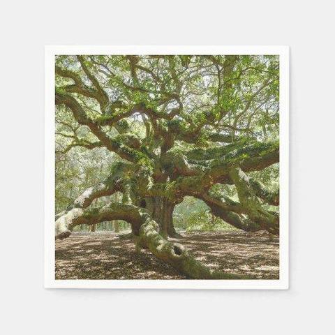 Thank you to the buyer who purchased some napkins of Mighty Angel Oak
https://www.zazzle.com/z/okcfsngq?rf=238390870363339144 via @zazzle 
#partysupplies #zazzlemade