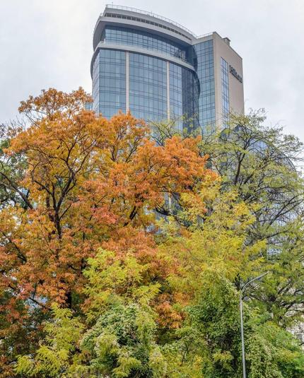 Autumn in city