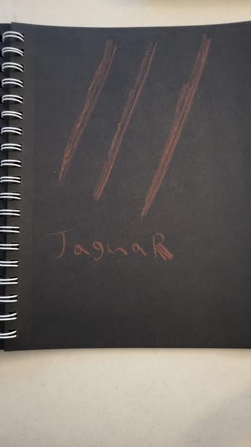 An Atari Jaguar