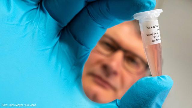 Scientist holding a nasal swab sample, which is examined for biomarkers using the developed sensor.
Image: Jens Meyer / Uni Jena