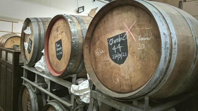 Row of barrels with craft brews from Craftwork inside. Waiting for nature to do its magic.