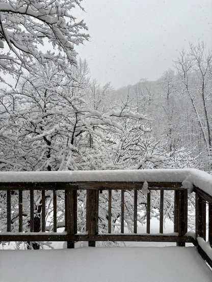 Snow piling up on the deck overlooking snow covered trees