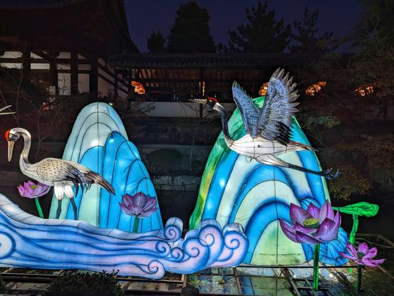 Lantern cranes and lotuses.