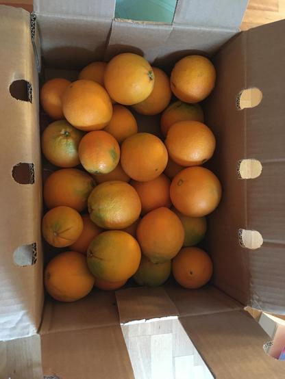 box of oranges