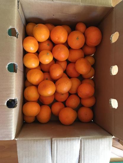 box of clementines
