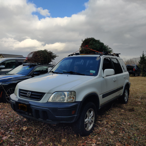 A well loved 2000 Honda CR-V with a Christmas tree strapped to its roof