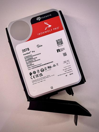 My new 20 TB IronWolf Pro mounted in the Synology Disk Tray