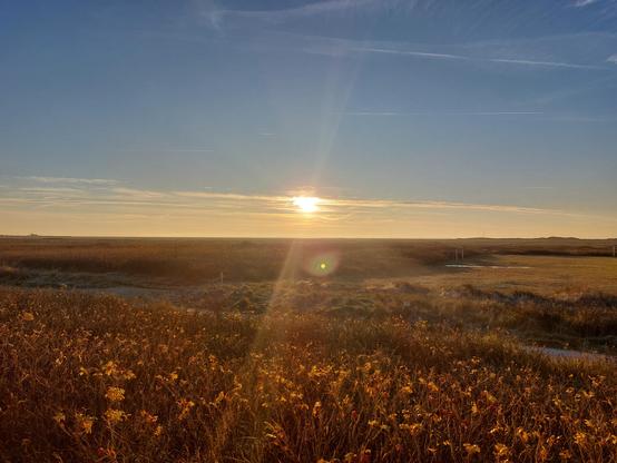 Sonnenaufgang über den Salzwiesen von Spiekeroog