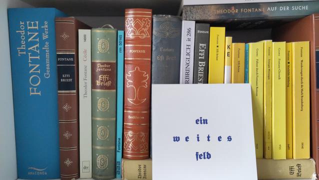 Foto von einem Ausschnitt eines Bücherregales. Im Vordergrund ist eine weiße kleine quadratische Karte zu sehen mit dem blauen Aufdruck in Frakturschrift "ein weites Feld". Im Hintergrund sind ausschließlich Bücher von Theodor Fontane zu sehen. Werke mit den Titeln Gesammelte Werke, Cécile, Fontane, Irrungen Wirrungen, Führer durch Fontanes Romane, Mathilda Möhring, Wanderungen durch die Mark Brandenburg, Fontane-Chronik, Auf der Suche. 