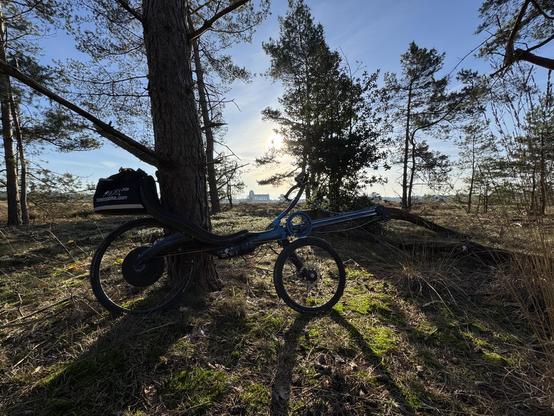 Op de voorgrond staat een roeifiets tegen een boom, erachter meer bomen. Het zonlicht is tegenlicht en bomen en fiets hebben lange schaduwen naar de kijker toe. In het midden op de horizon klein het silhouet van het zendergebouw van Radio Kootwijk. 