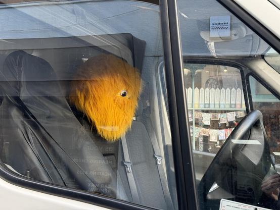 Honey Monster-style mascot peering between two seats in a van, looking forlorn whilst it’s parked up on the main shopping street in Cowes.
