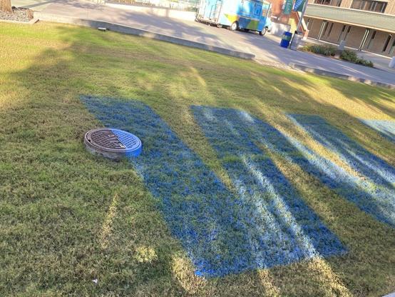 Manhole cover on a lawn, partially painted over with a giant blue W