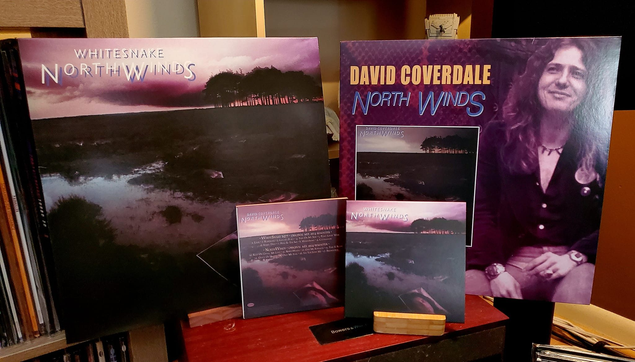 From left-to-right, top-to-bottom:

2024 "Whitesnake" vinyl remix, 2021 vinyl remaster, original mix 2024 CD remaster, 2024 "Whitesnake" CD remix.

The CDs are from the 2024 "Into the Light" CD box set.