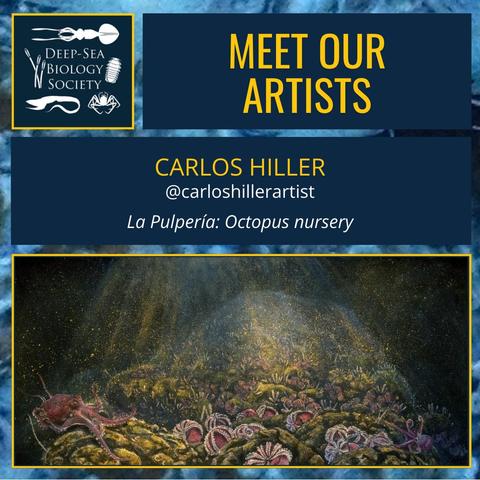 Introducing the artist Carlos Hiller. The artwork “la pulperia, octopus nursery” is presented. It shows a seafloor covered in purple-red octopus that are nursing their eggs with their arms tangled around their bodies. Faint light is coming from above, possible a light source from the ROV that explores the deep seafloor. 