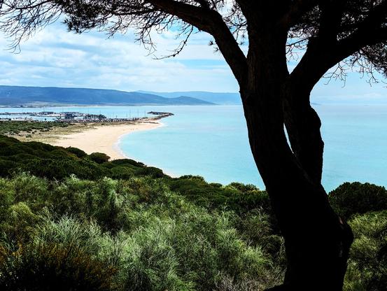 Panaoramic photo of a beach, from a higher point. A tree trunk on the right of the image. Mountains on the horizon.