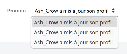 A pronoun choice web form, except the three choices give examples that all translate to the exact same sentence in French "Username a mis à jour son profil" ("Username updated his/her/their profile") 