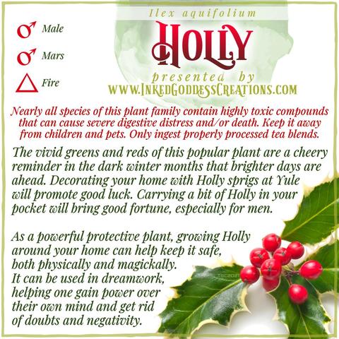 A sprig of holly is in the bottom right corner of a white background. It features bright red berries and variegated green leaves with sharp points. The graphic includes holly's metaphysical correspondences, some trivia about it, and ways to use it in your magickal practice. Presented by Inked Goddess Creations.