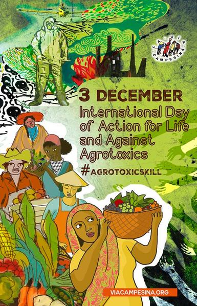 #3Dec #3Dec2024
🌐 International Day of Action for Life and against Agrotoxics ☠️
🧑‍🌾 #PeasantAgroecology guarantees #FoodSovereignty and prioritizes the defense of life 🌻🐝
➡️ https://viacampesina.org/en/03-dec-agroecology-guarantees-food-sovereignty-and-prioritizes-the-defense-of-life
#AgrotoxicsKILL #StopAgrotoxics
#PeasantAgroecologyNurturesLIFE
@via_campesina