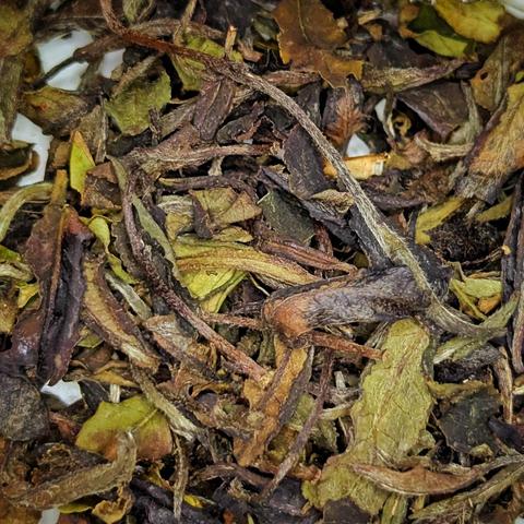 Dry tea leaf