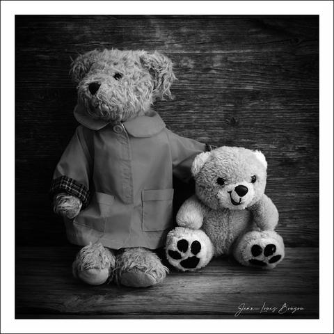 The image shows two teddy bears placed against a wooden background. The larger teddy bear on the left is wearing a coat with pockets and plaid-patterned cuffs. The smaller teddy bear on the right is sitting beside it, and both bears have a fluffy, textured appearance. The overall composition is in black and white, giving the scene a classic, nostalgic feel.
