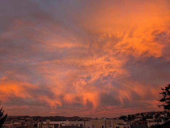 Photograph of sunrise over San Francisco Bayview. The clouds are painted gold, salmon, and amethyst. The colors are intensely saturated. CC BY-SA Kate Zimmerman.