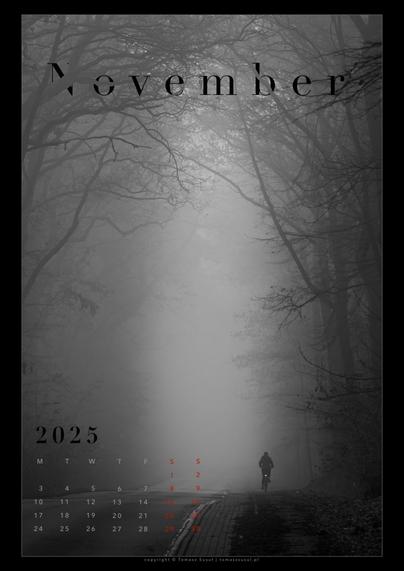 Calendar card for the month of November 2025. The black and white photograph shows a lone cyclist riding along a tarmac road through a misty forest. The tall, dark shapes of the trees are visible, but the end of the road is not, disappearing into the mist.