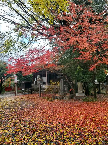 Autumn at Daihoon-ji.