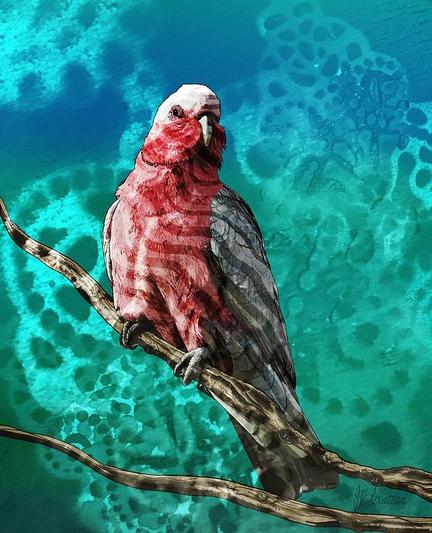 Surreal Galah In Tree - Water Merges With Sky by Joan Stratton - paintingsbyjoan.com 

A vibrant Australian Galah, parrot, with striking pink and grey feathers perches gracefully on a branch. The background features an abstract blend of teal and turquoise, reminiscent of ocean waves and turbulent skies.

Ether Art – A hand-drawn drawing / painting using the exciting modern art form, where art is created from scratch using a computer in lieu of a real canvas and paint, water colour, pastel, pencil, charcoal etc I create digital art from the ether, exactly the same as if I was starting with a blank canvas.